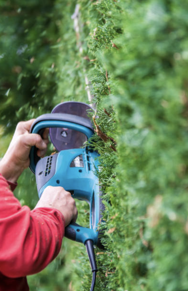 Beskj%C3%A6re%20hekk