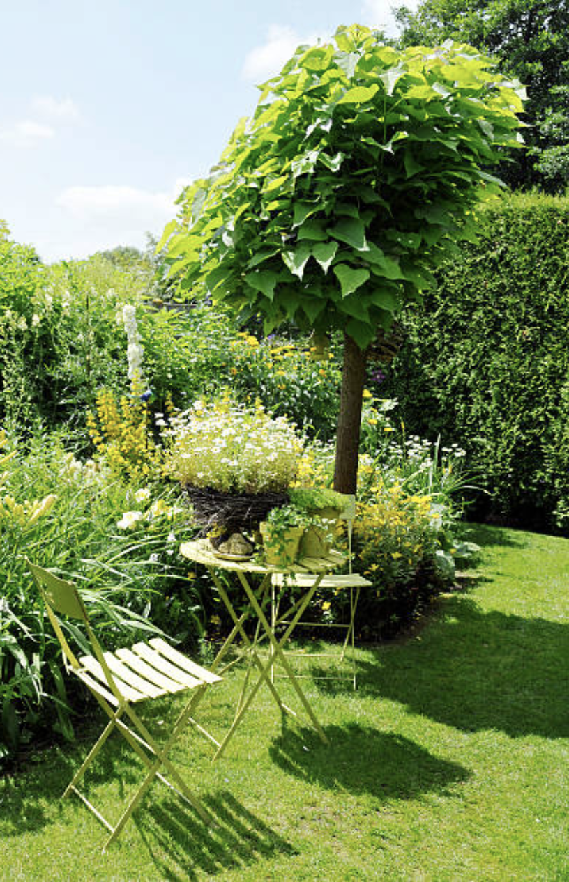 Legging av ferdigplen