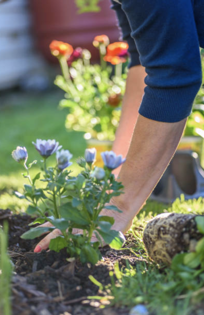 Legging av ferdigplen