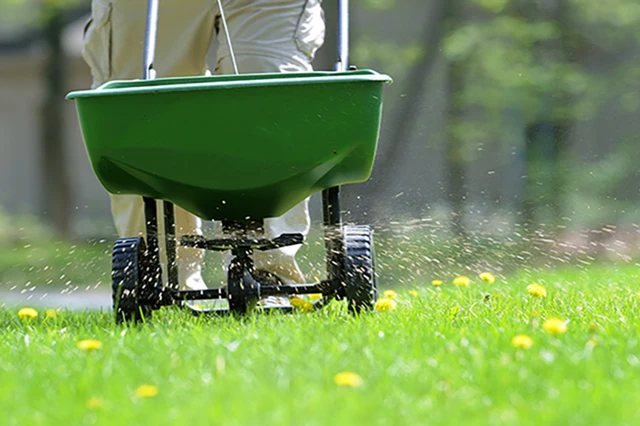 lawn-weed-and-feed-sized