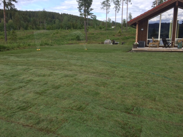 Legging av ferdigplen