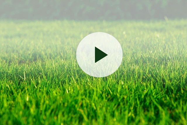 legge-ferdigplen-gammel-plen