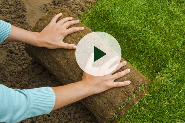 legge-ferdigplen-jordtomt