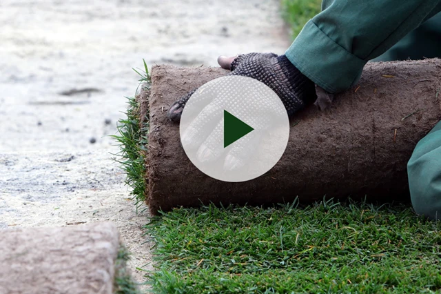 legge-ferdigplen-stentomt